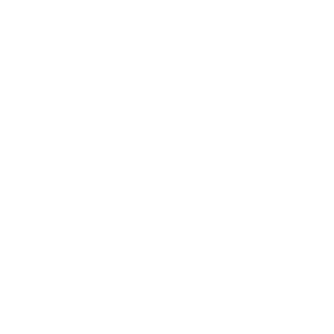 AmazingReunion Logo